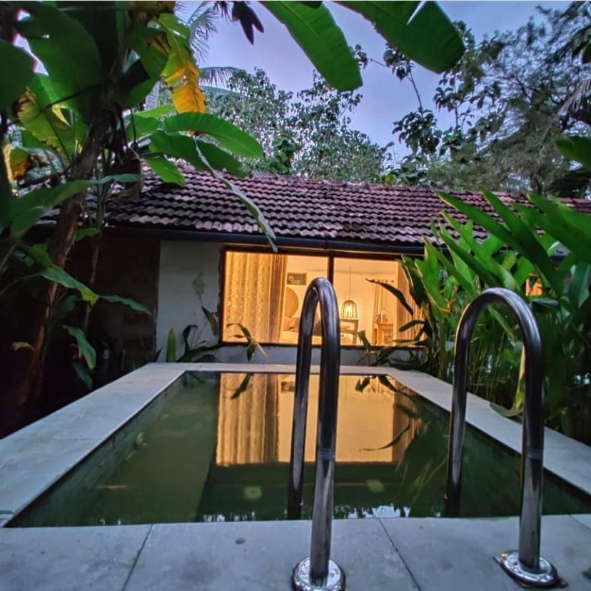 Alappuzha Sunsets And Palm Trees B&B 외부 사진